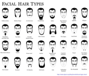 Bill facial hair types
